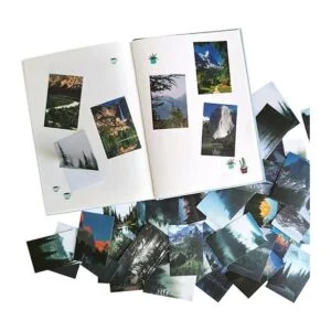 Kawaii Washi Juego de pegatinas con diseño de árboles de_4