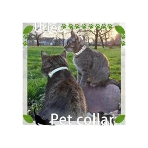 Urieo Collares de seguridad para gatos de piel plateada_5