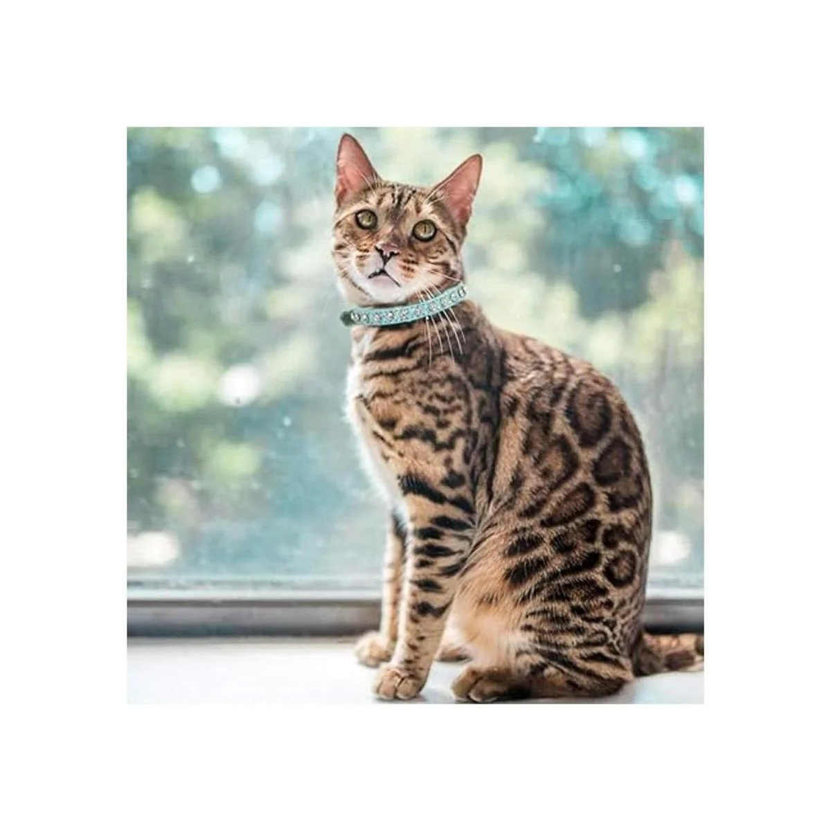 Urieo Collares de seguridad para gatos de piel plateada_3