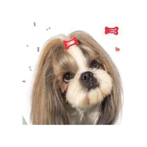40 pinzas para el pelo para perros bonitos pasadores de 1_5