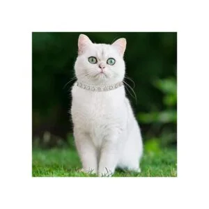 Urieo Collares de seguridad para gatos de piel plateada_4