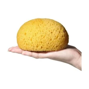 Esponja de textura de 3 piezas esponja de textura de piel_3