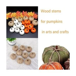 LAZACA Palitos de manualidades palos de madera ramitas_7