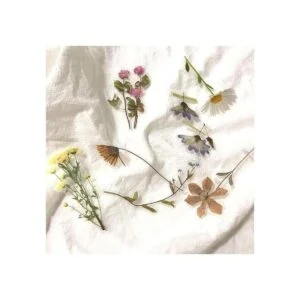 Lindo juego de calcomanías florales retro 120 piezas PET_4