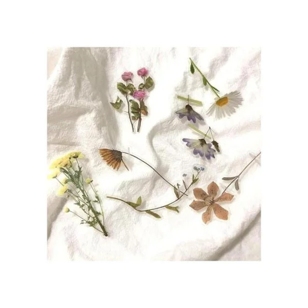Lindo juego de calcomanías florales retro 120 piezas PET_4