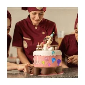 Meiyouju Molde de silicona para globos de aire caliente_7