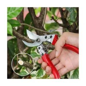 KAJUDA Tijeras de podar de 8 pulgadas tijeras_2