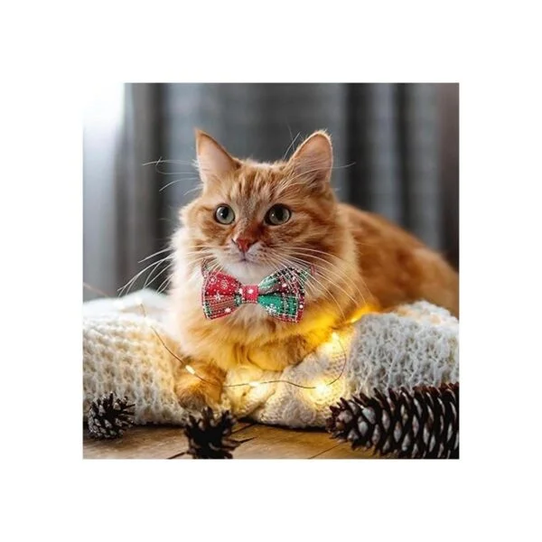 Paquete de 2 collares de Navidad para perros con corbatín_7