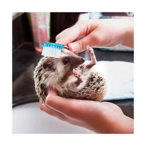 2 piezas de cepillo de baño de erizo con cortaúñas de uñas_2