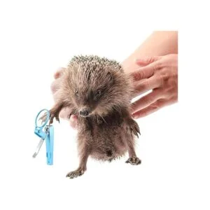 2 piezas de cepillo de baño de erizo con cortaúñas de uñas_3