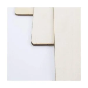 Paquete de 3 letreros de madera en blanco para_3