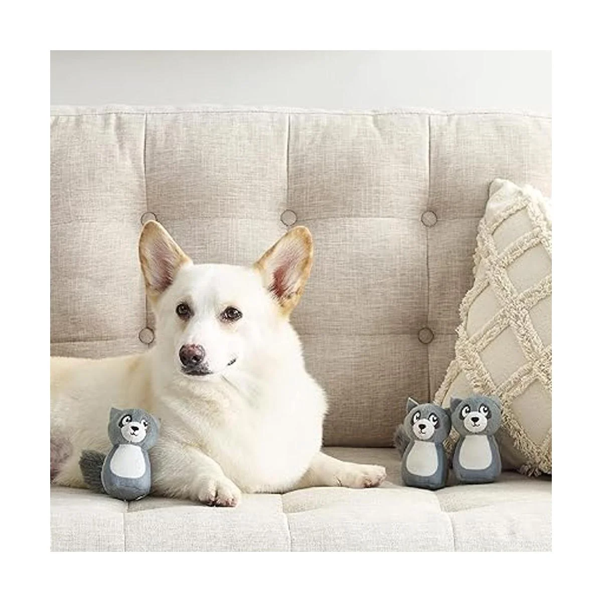 Outward Hound Squeakin Racoon Hide A Puzzle juguetes de_6