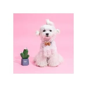 perros pequeños flores y lazos festivales_4