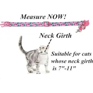 BoomBone Collar de gato con campana y colgante a juego 2_4