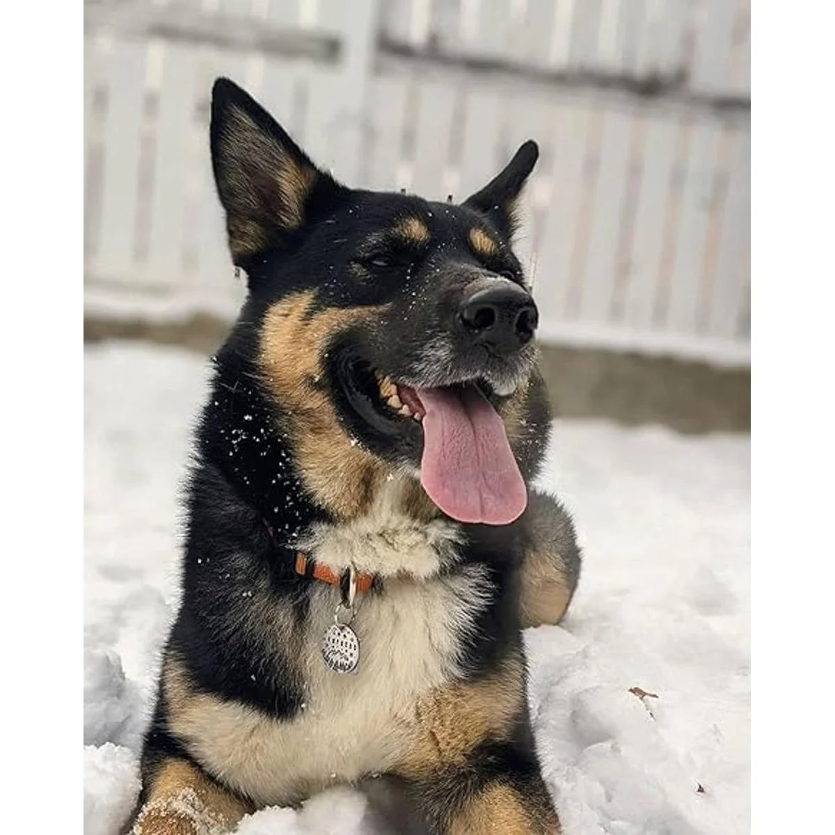 ABBECIAO Etiquetas de identificación personalizadas a_5