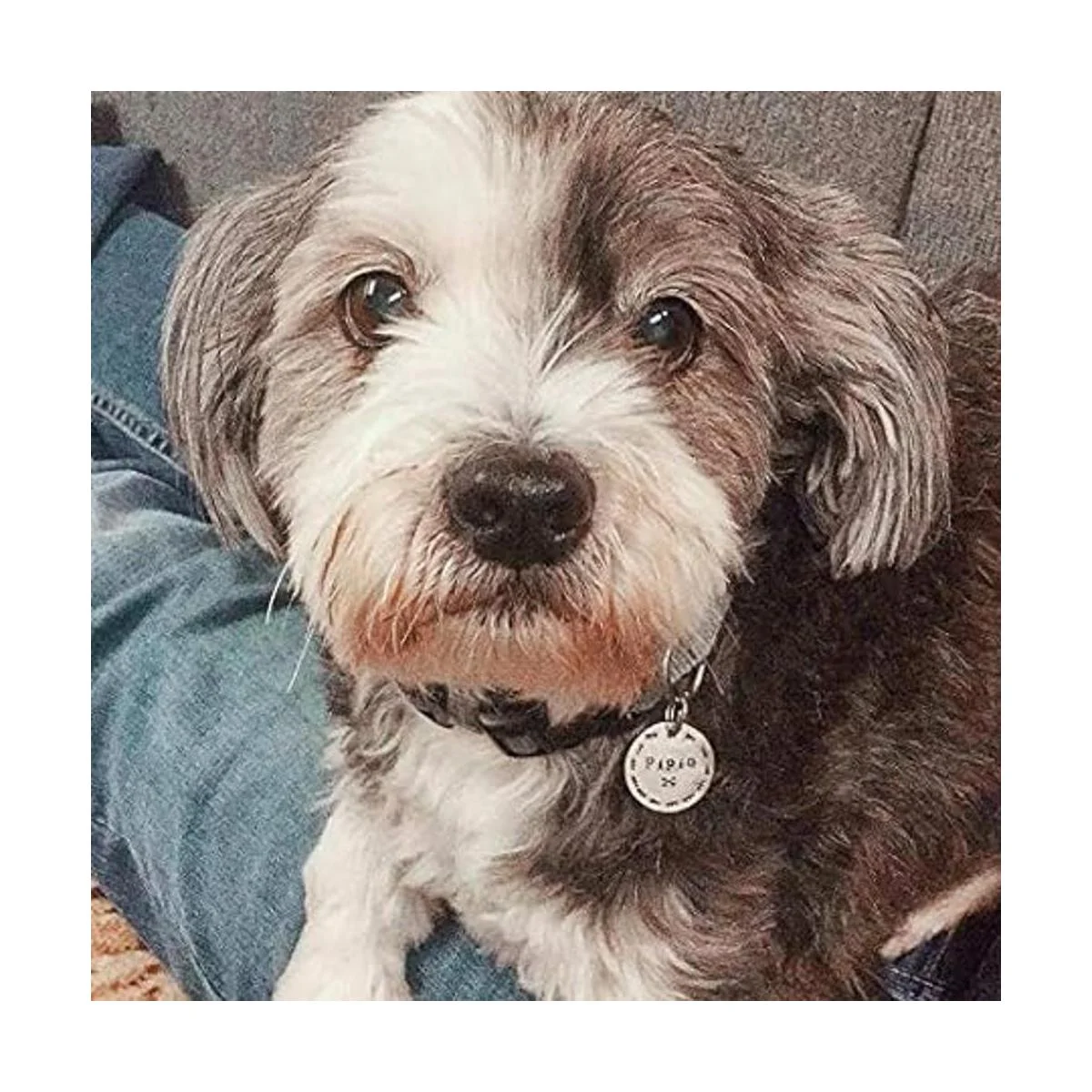 ABBECIAO Etiquetas de identificación personalizadas a_6