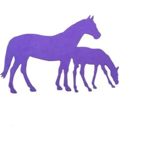 2 troqueles de corte de animales para caballos paja de_6