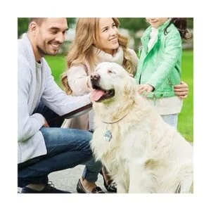 Xuniea 16 etiquetas de sublimación en blanco para perro_6