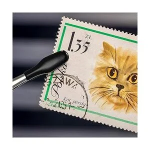 Juego de 2 pinzas con puntas de goma puntas recubiertas_6