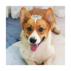 Lovelyshop Pet Series Royal Rhinestone Mini Full Round_2