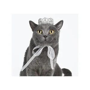 Lovelyshop Pet Series Royal Rhinestone Mini Full Round_1
