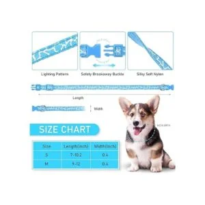 GAMUDA Collares de arena para cachorros Collares de_2