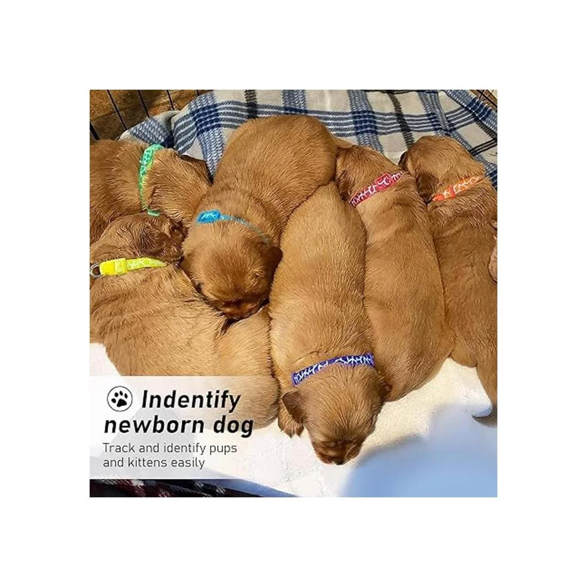 GAMUDA Collares de arena para cachorros Collares de_6