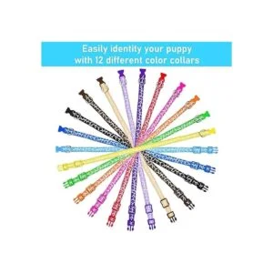 GAMUDA Collares de arena para cachorros Collares de_4