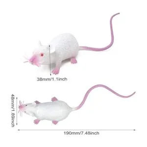 HONBAY 6 piezas de plástico de Halloween falso rata_2