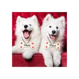 40 piezas 4.3 x 2.2 pulgadas de madera de huesos de perro_4