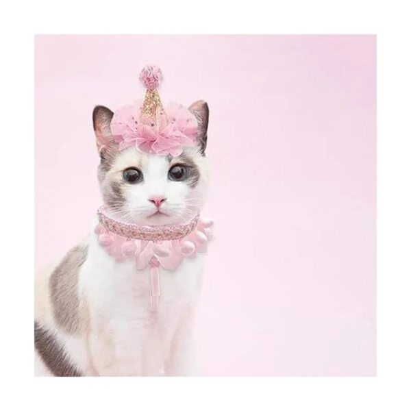 Juego de bufanda de sombrero de cumpleaños para mascotas_2