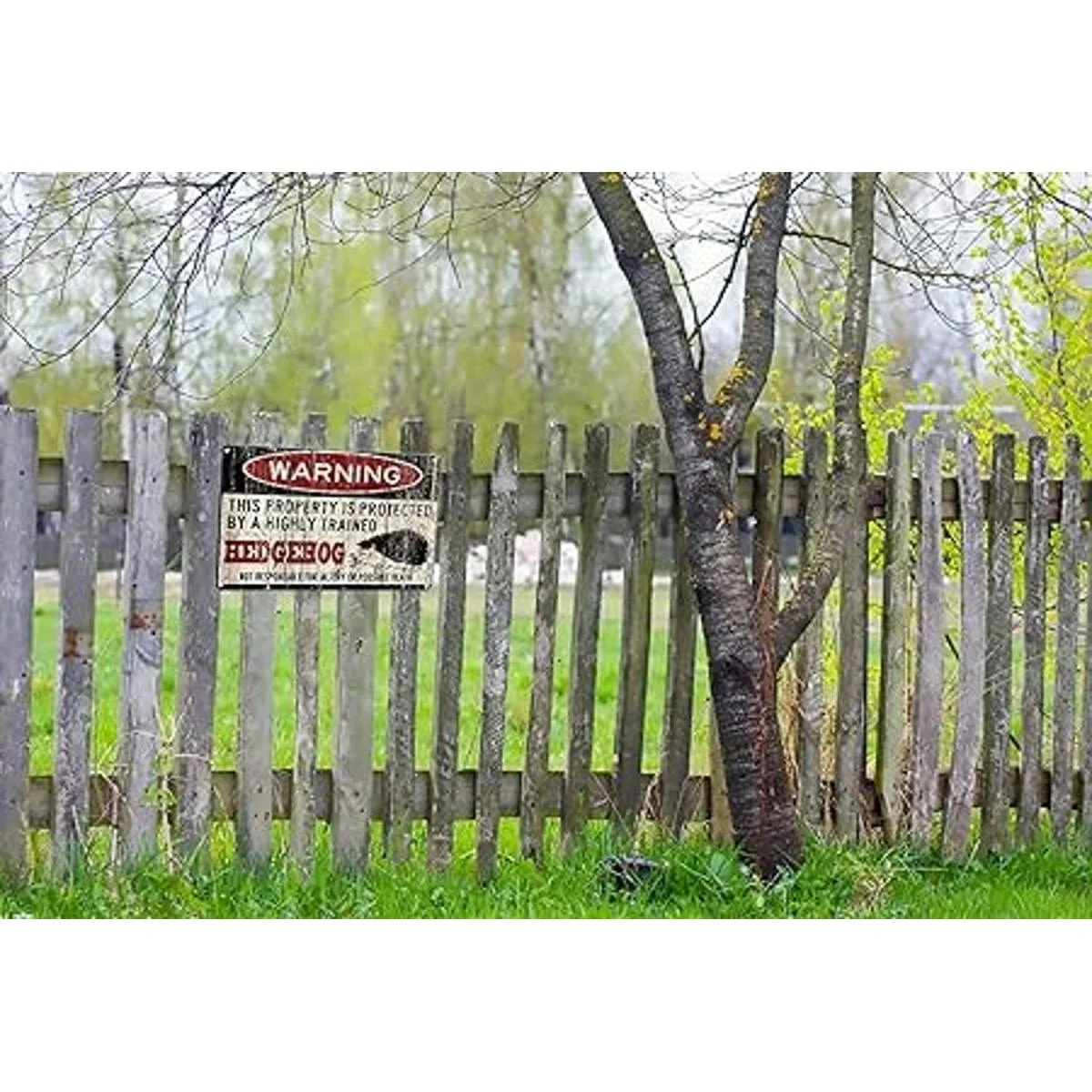 Letrero de estaño de erizo divertido letrero de metal_5