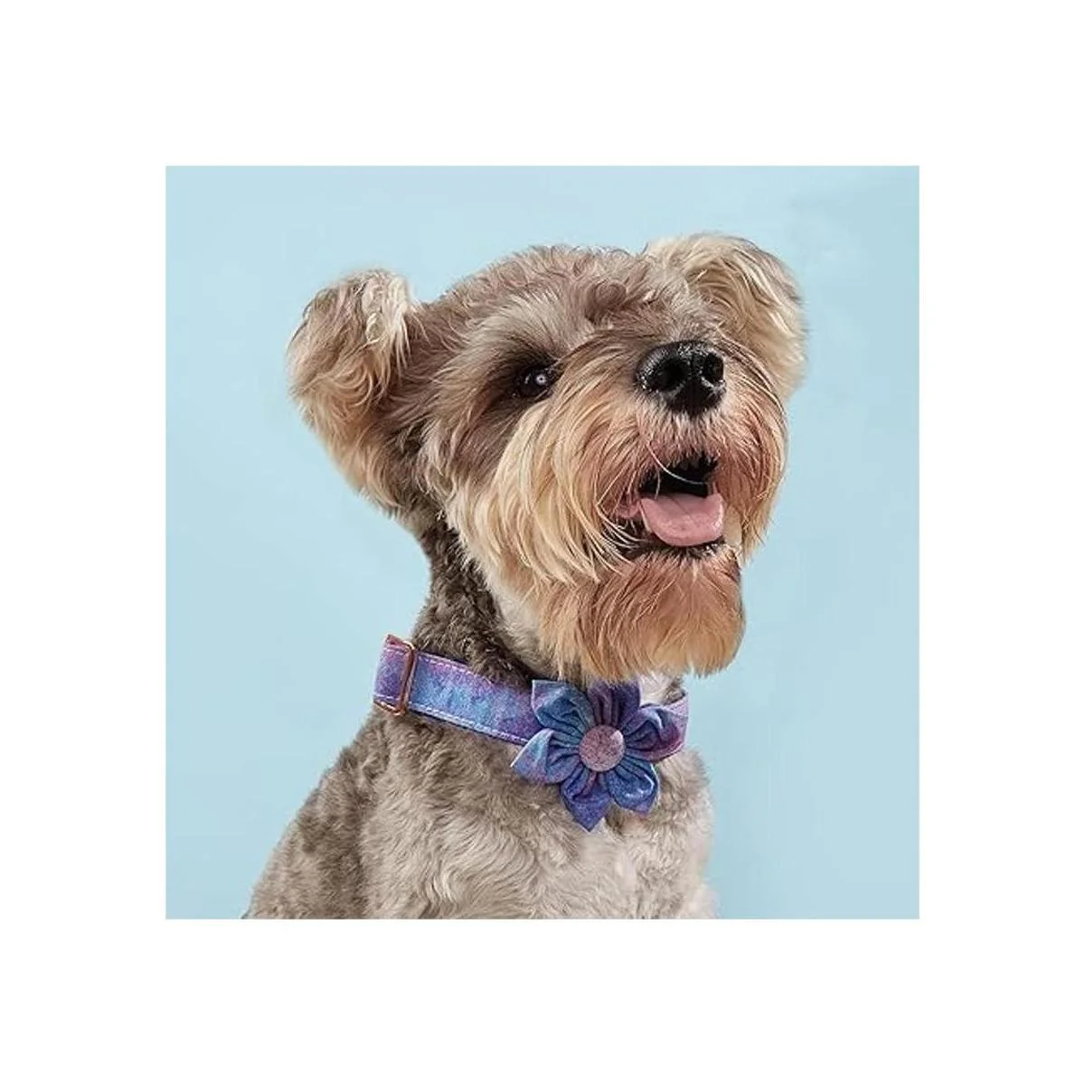 Collar de perro floral para niña y perro suave cómodo_6