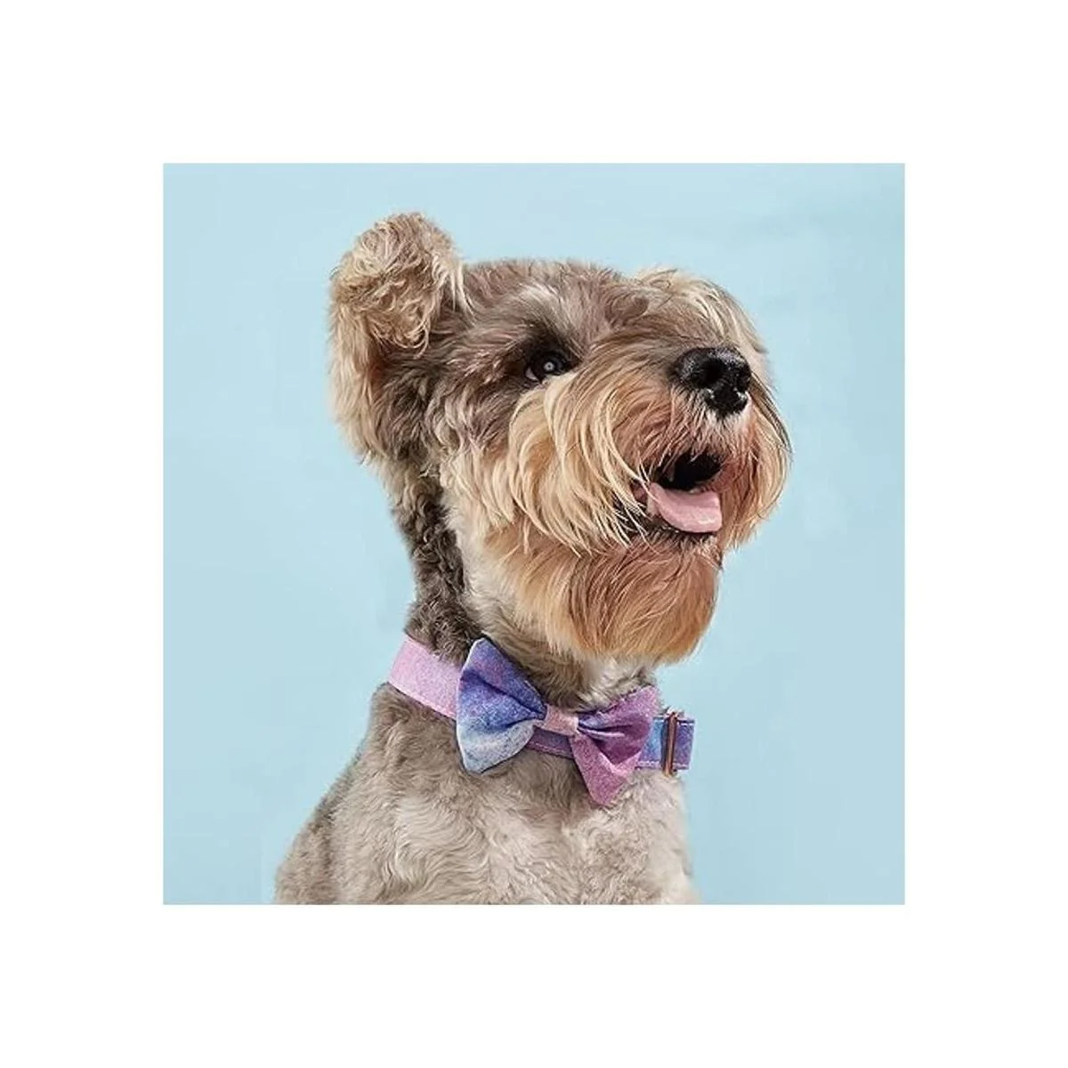 Collar de perro floral para niña y perro suave cómodo_5