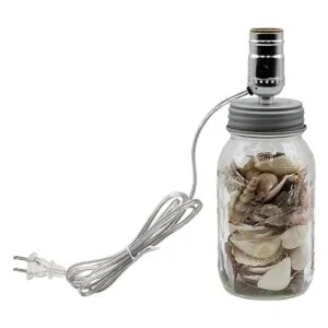 Creative Hobbies DIY Mason Canning Fruit Jar Kit de_2