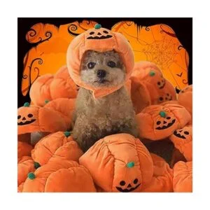 ANIAC Gorro de Halloween para perro gatito calabaza_3