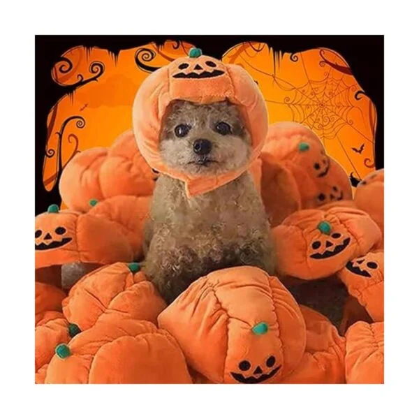 ANIAC Gorro de Halloween para perro gatito calabaza_3