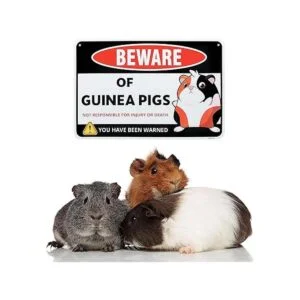 Venicor Letrero decorativo de conejillo de indias 8 x 12_4