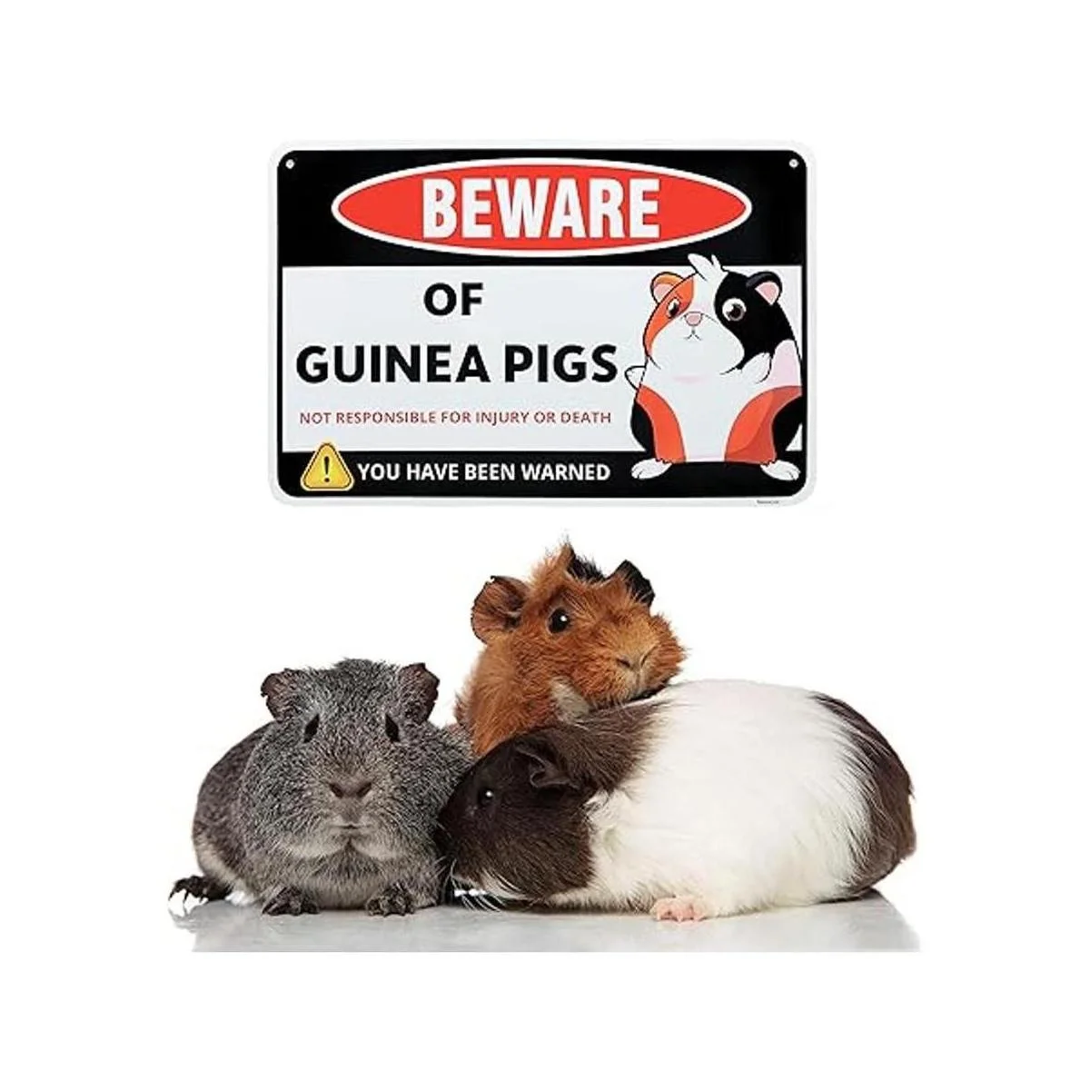 Venicor Letrero decorativo de conejillo de indias 8 x 12_4