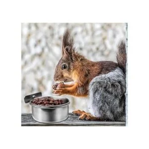 MotBach 3 tazas de acero inoxidable para alimentación de_7