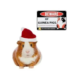 Venicor Letrero decorativo de conejillo de indias 8 x 12_6