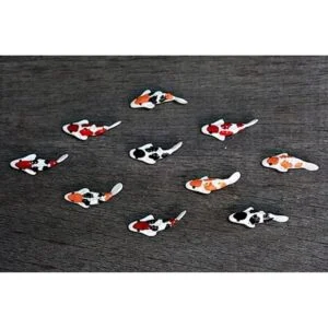 Buy Easy 10 Mezcla Colorido Koi Fish Fairy Garden Animal_4