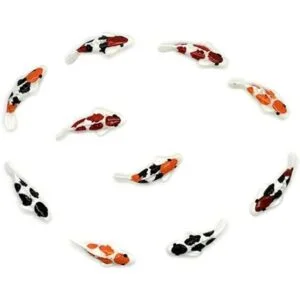 Buy Easy 10 Mezcla Colorido Koi Fish Fairy Garden Animal_2