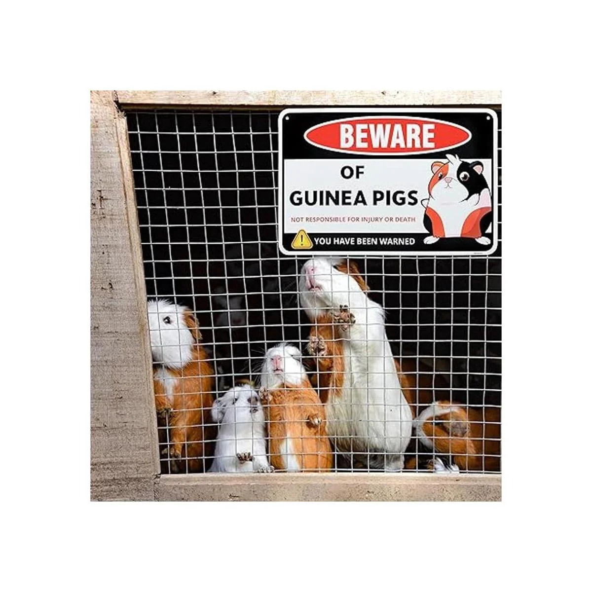 Venicor Letrero decorativo de conejillo de indias 8 x 12_5