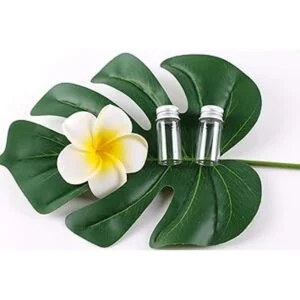 MaxMau 24 juegos de viales de vidrio de 0.3 fl oz_4