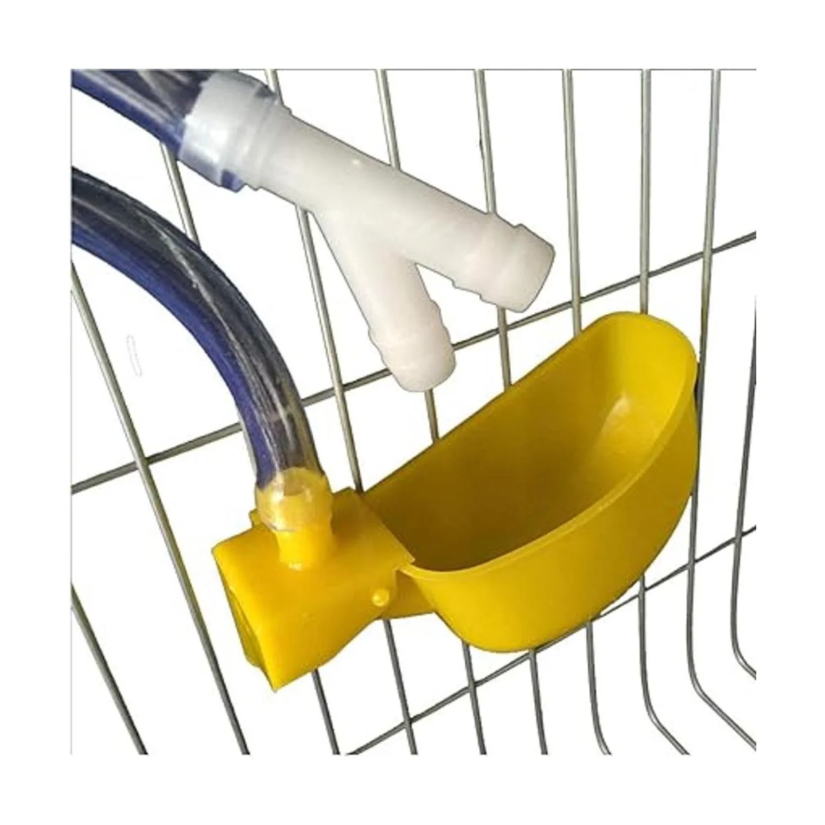 Tbrand 10 unidades de codorniz Waterer automático de aves_4