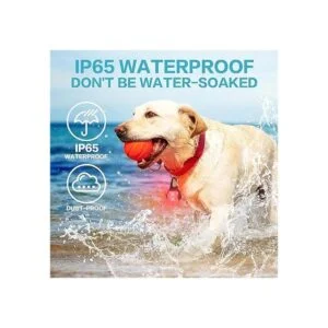 Collar de luz para perro 50 lúmenes para caminar_4