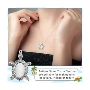 40 piezas de dijes de tortuga de plata antigua incluye 20_6