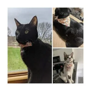 ADOGGYGO Collar de gato con bonita campana de corbatín_3