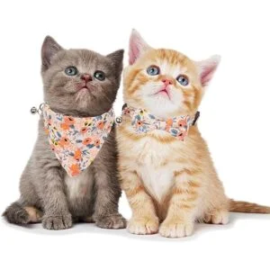 ADOGGYGO Collar de gato con bonita campana de corbatín_2